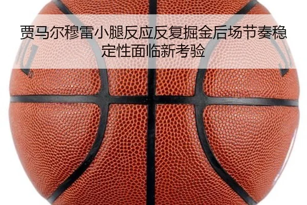 贾马尔穆雷小腿反应反复掘金后场节奏稳定性面临新考验