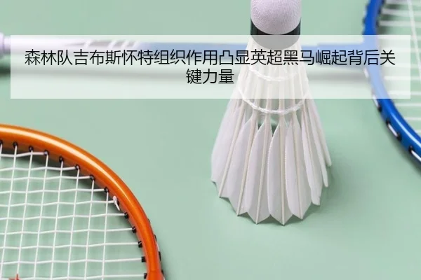 森林队吉布斯怀特组织作用凸显英超黑马崛起背后关键力量